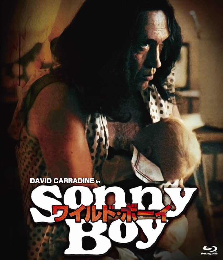 Amazon.co.jp: ワイルド・ボーイ blu-ray : デヴィッド・キャラ